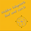 Hidden labyrinth – find and catch